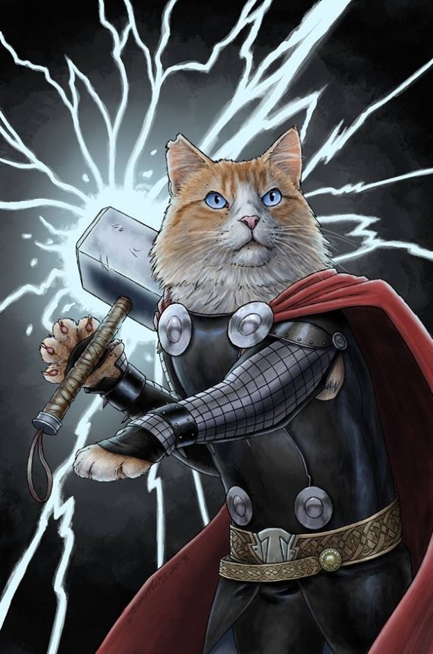 marvel cats1 625x943 Marvel spotlights Superheroes as Cats