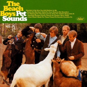 pet sounds 300x300 Holiday Gift Guide: Gifts for the Hawkeye Fan