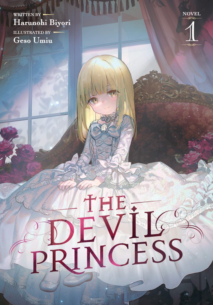 The cover image of the light novel 